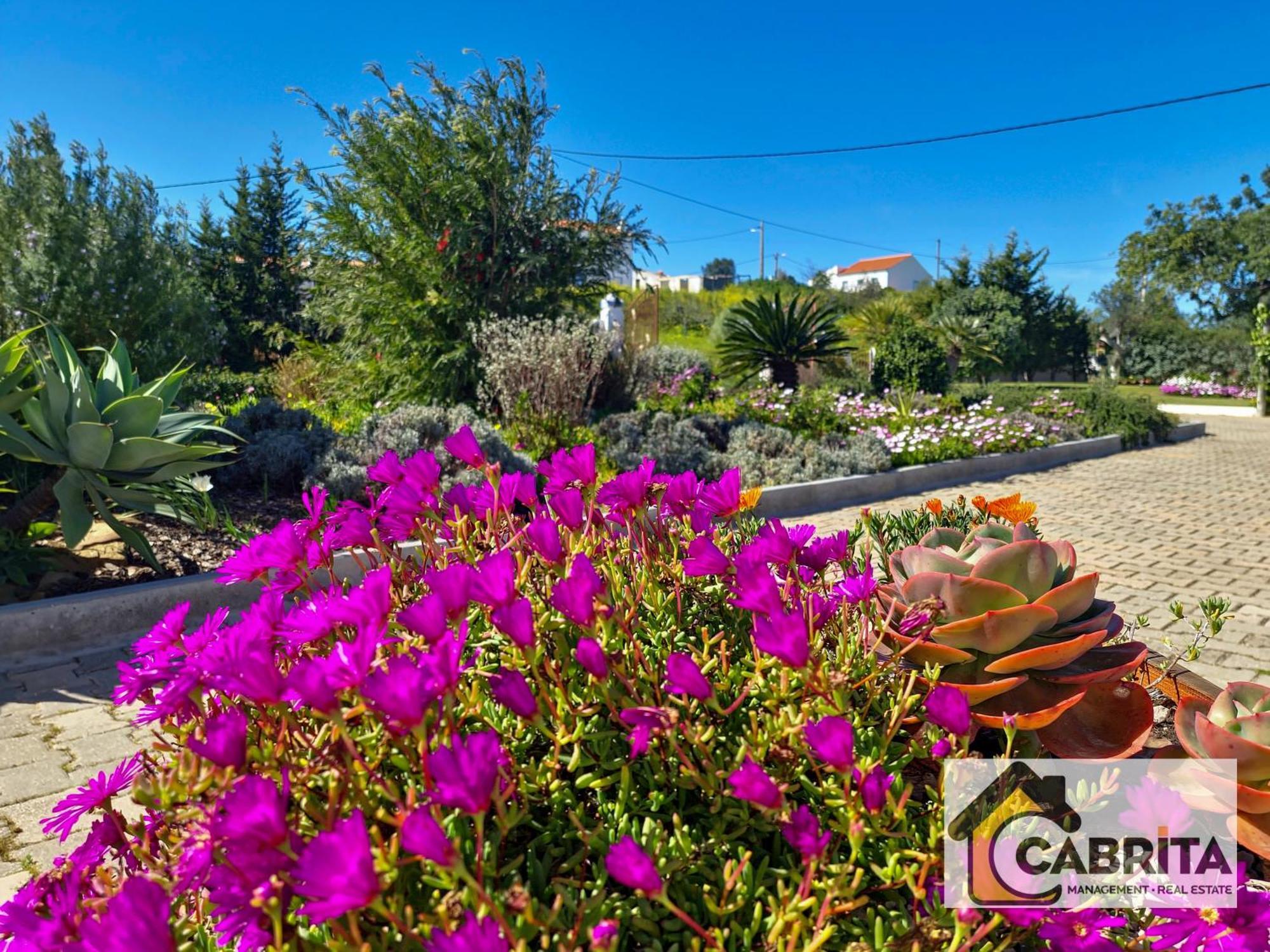 Vila Quinta Dos Medronheiros Altura Exteriér fotografie